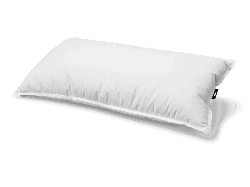 Almohada de Pluma y Plumón Ecus Ike